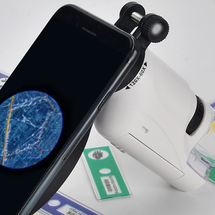 Microscope de poche pour enfants,  avec lumière LED